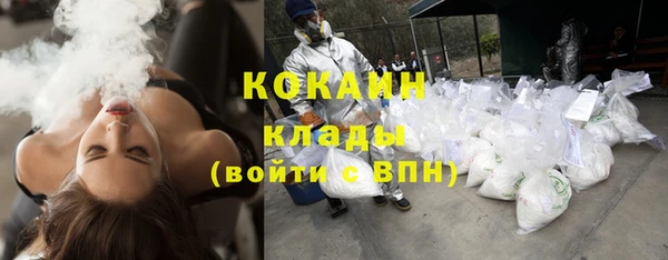 бошки Няндома