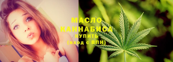 индика Новозыбков