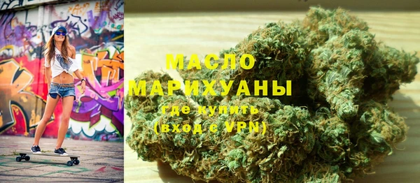 индика Новозыбков