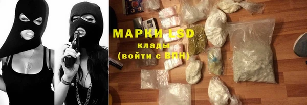 прущие грибы Абдулино