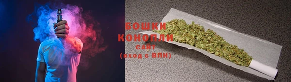 индика Новозыбков