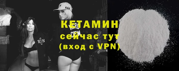 индика Новозыбков