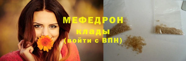 индика Новозыбков