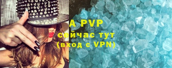 индика Абаза