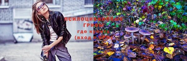jwh Абинск