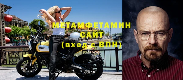 индика Абаза
