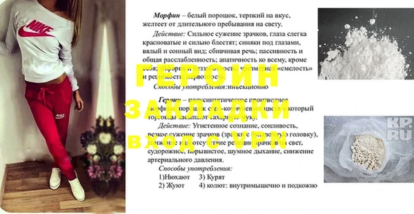 индика Абаза