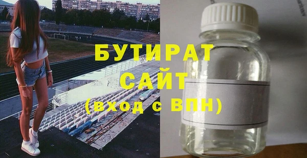 индика Новозыбков