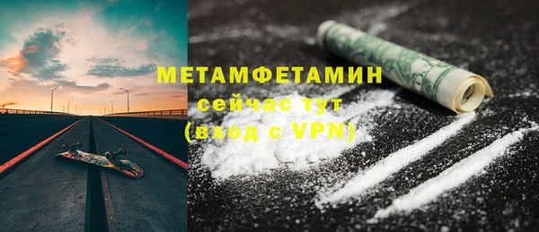 индика Новозыбков