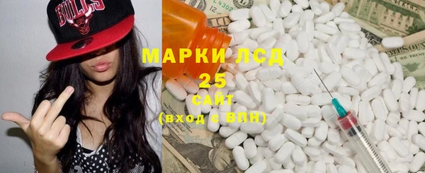 прущие грибы Абдулино
