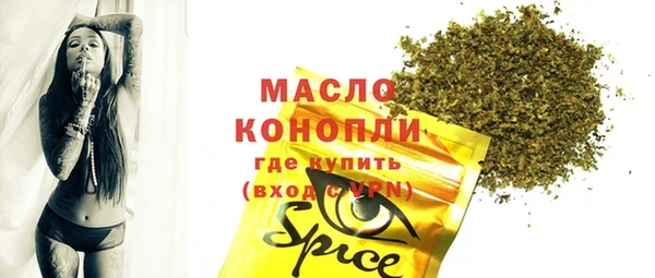индика Абаза