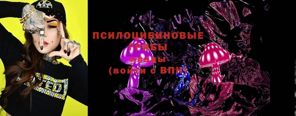 индика Новозыбков