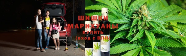 индика Новозыбков