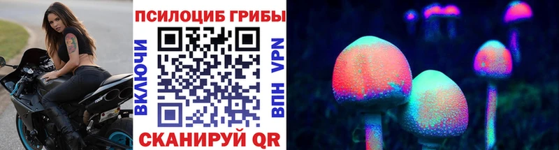 купить наркоту  Щучье  Псилоцибиновые грибы GOLDEN TEACHER 
